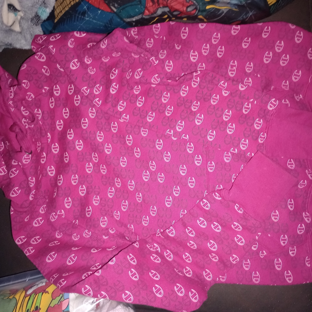 Champion Pink Hoodie